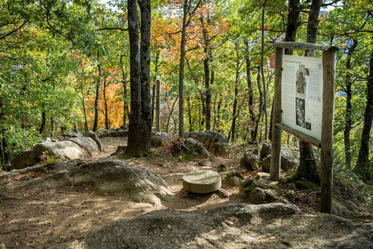 Foto dell'area archeologica di Monte Bibele, Monterenzio