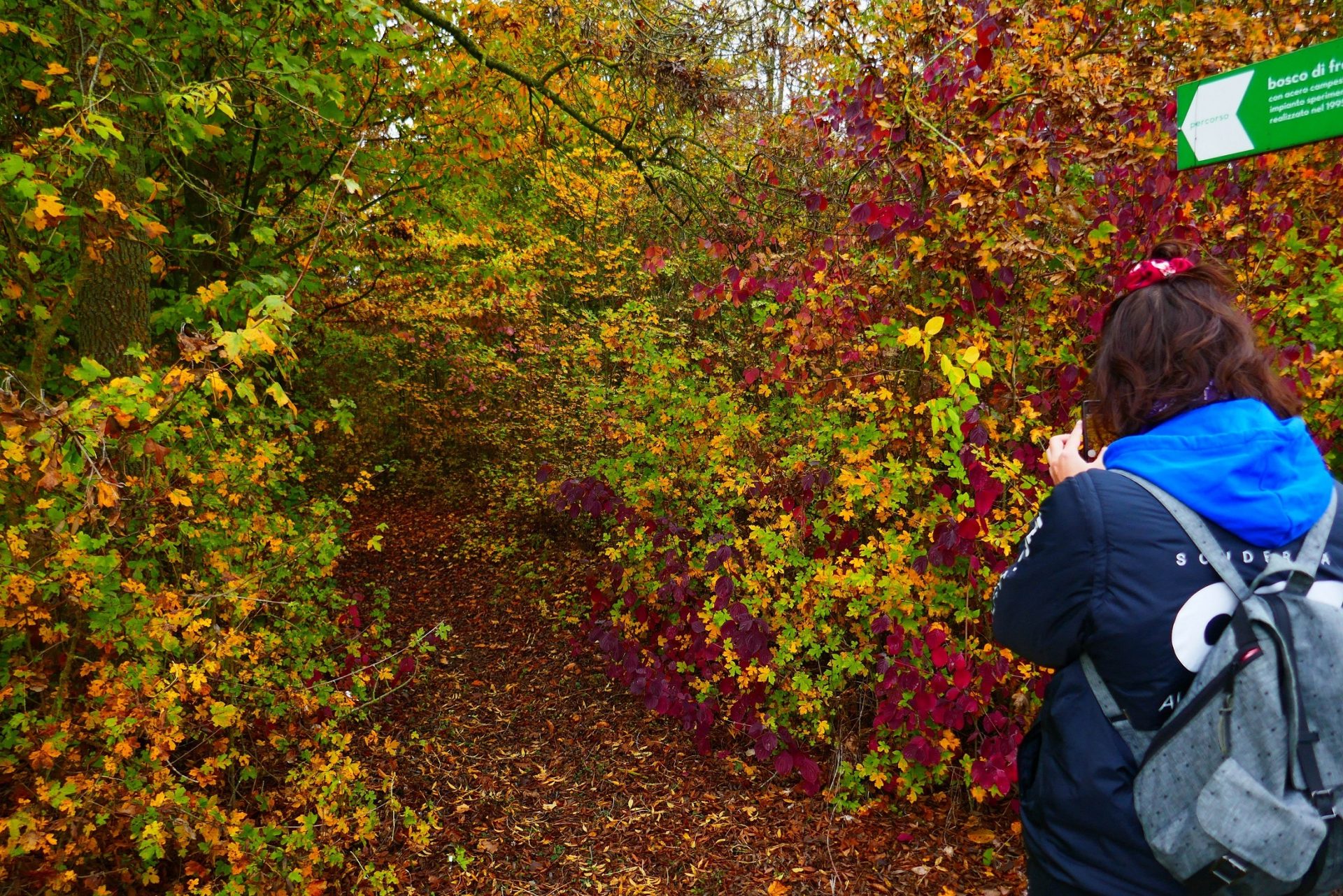 La foto ritrae una persona che ammira il foliage autunnale nell'area naturalistica del Dosolo